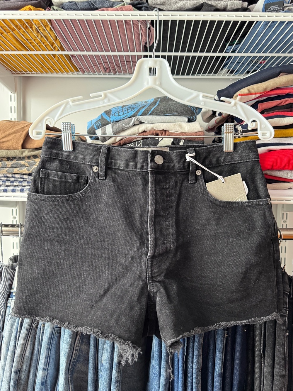 NWT Everlane Cheeky Short 28